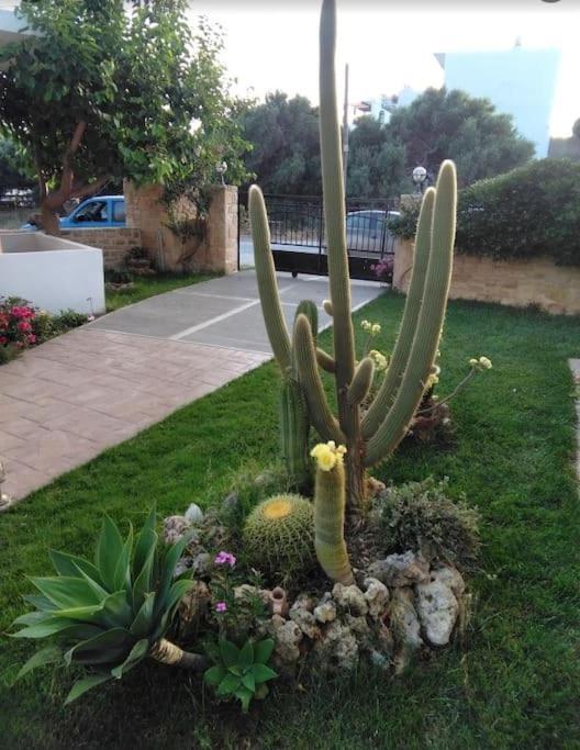 Antonia Apartment Plakias Exterior photo